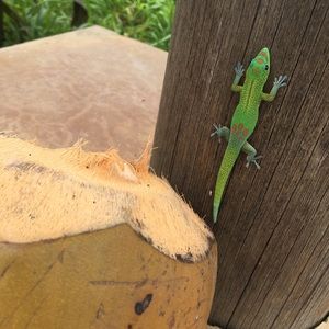 Meet your Posher, Shawn